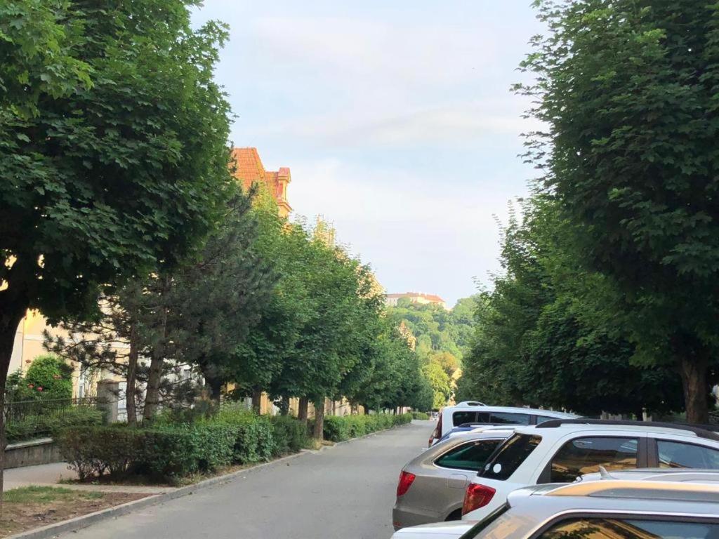 Rooms Veveri - Uvoz, 10 Min Peski Do Centru Brno Eksteriør billede