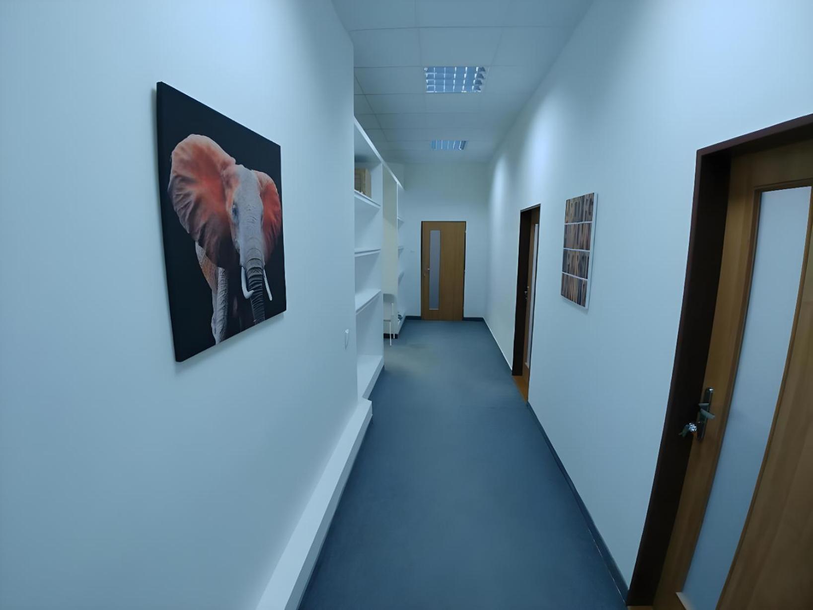 Rooms Veveri - Uvoz, 10 Min Peski Do Centru Brno Eksteriør billede